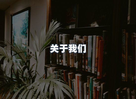 专业团队
